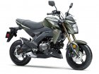 Kawasaki Z125 Pro